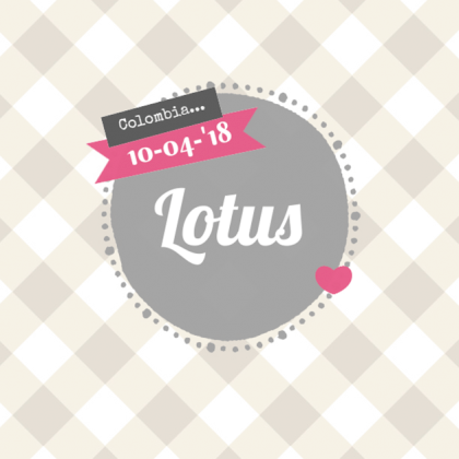 Adoptiekaartje "Grijs ruitje roze hartje"