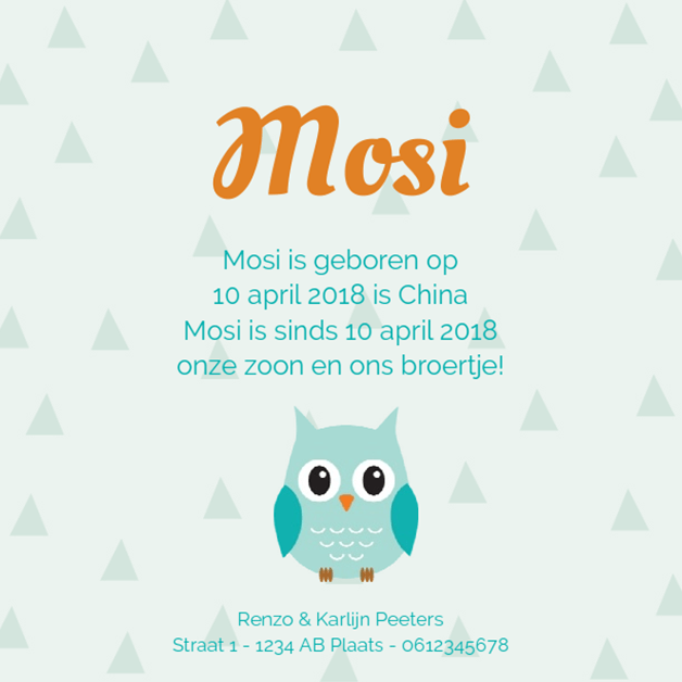 Adoptiekaartje "Uiltje blauw" Adoptiekaartje "Uiltje blauw"