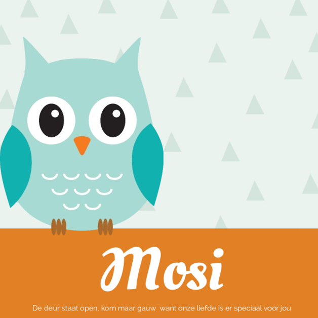 Adoptiekaartje "Uiltje blauw" Adoptiekaartje "Uiltje blauw"