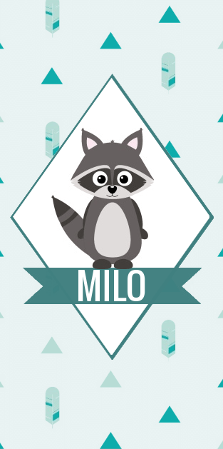 Kaartje "Wasbeertje" Kaartje "Wasbeertje"