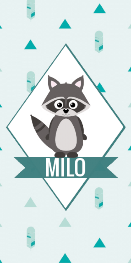 Kaartje "Wasbeertje"