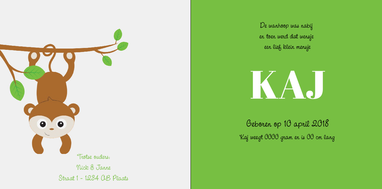 Gevouwen kaart "Aapje aan tak" Gevouwen kaart "Aapje aan tak"