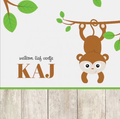 Gevouwen kaart "Aapje aan tak"