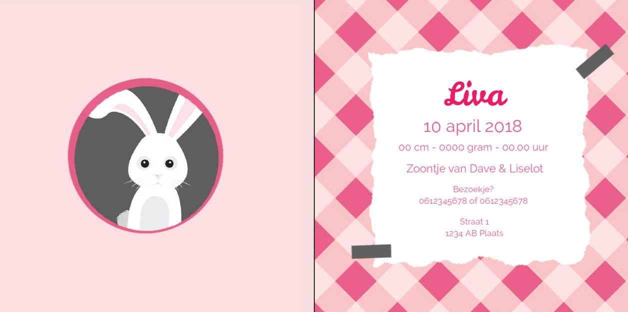 Gevouwen kaart "Konijntje met roze ruitjes" Gevouwen kaart "Konijntje met roze ruitjes"