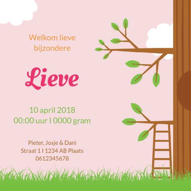 Kaartje "Vosje met strikje" Kaartje "Vosje met strikje"