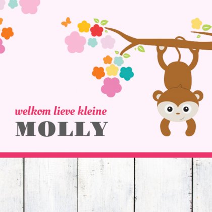 Kaartje "Aapje aan tak"