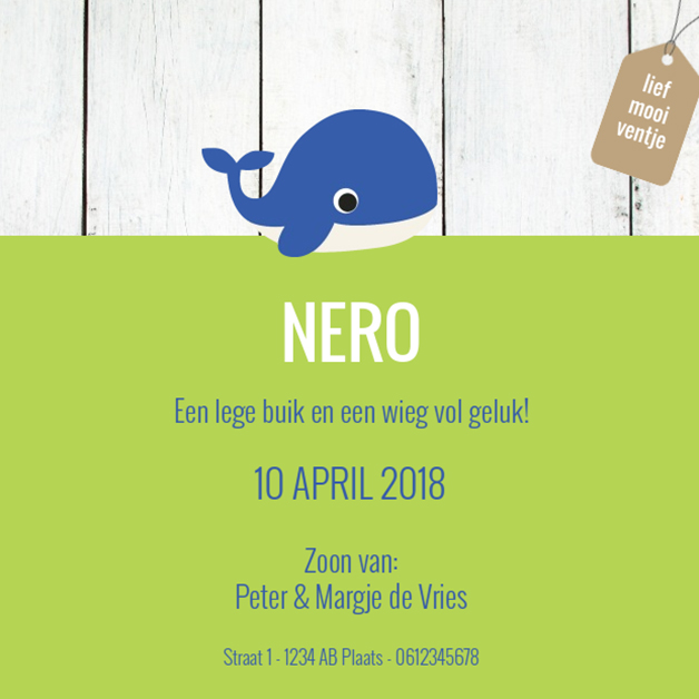 Kaartje "Blauwe walvis" Kaartje "Blauwe walvis"