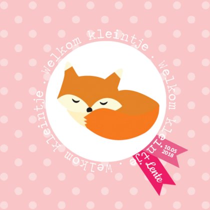 Kaartje "Slapend vosje roze" Kaartje "Slapend vosje roze"