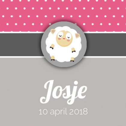Kaartje "Schaapje grijs"