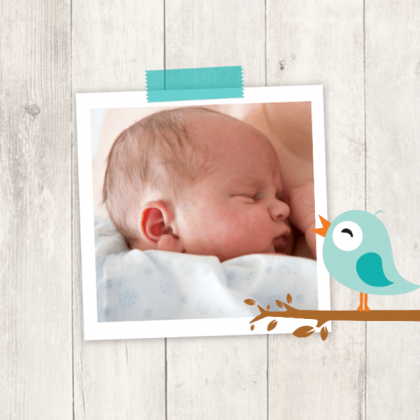 Gevouwen kaart "Foto & Blauw vogeltje"