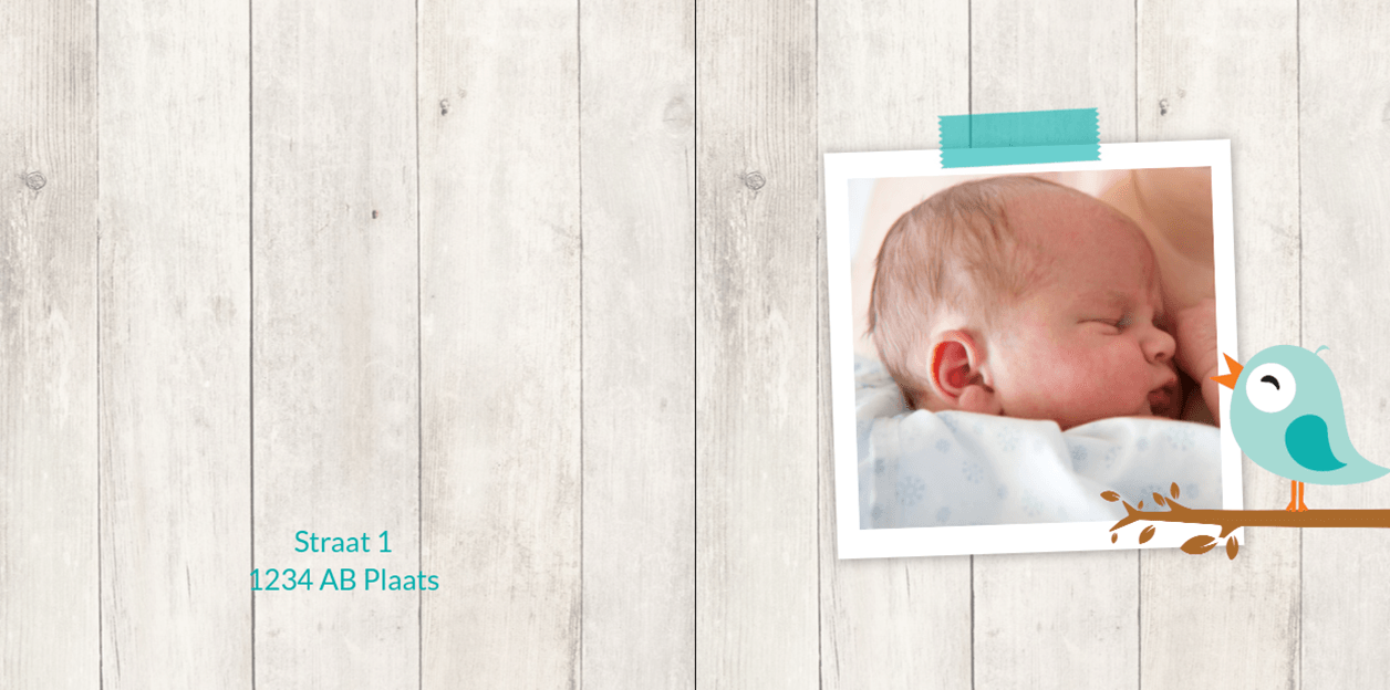 Gevouwen kaart "Foto & Blauw vogeltje" Gevouwen kaart "Foto & Blauw vogeltje"