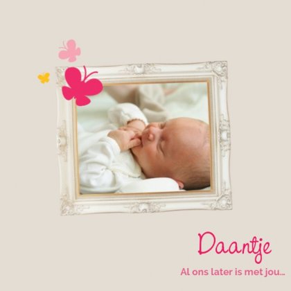 Gevouwen kaart "Zilvere fotolijst & Vlindertjes"