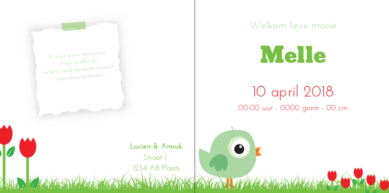 Gevouwen kaart "Foto & Groen vogeltjes op hout" Gevouwen kaart "Foto & Groen vogeltjes op hout"