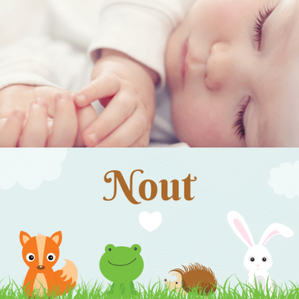 Gevouwen kaart "Foto & Dieren in het gras" Gevouwen kaart "Foto & Dieren in het gras"