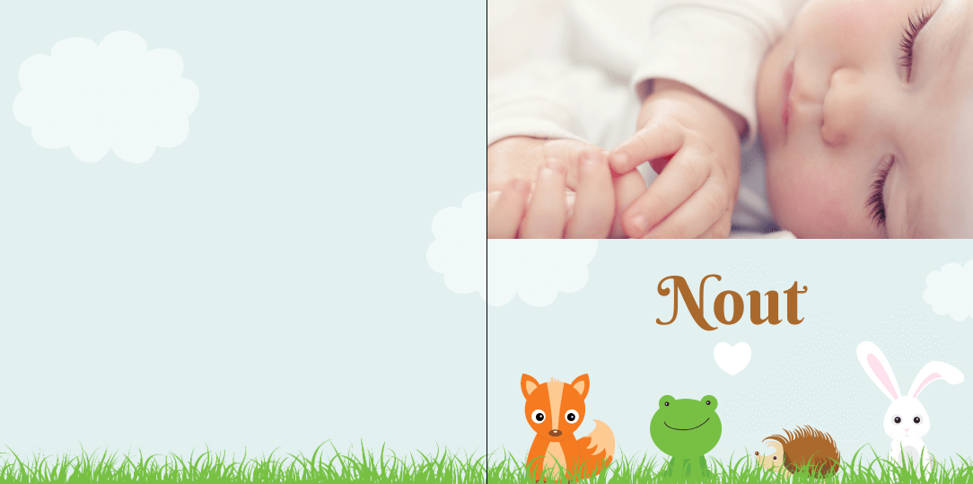 Gevouwen kaart "Foto & Dieren in het gras" Gevouwen kaart "Foto & Dieren in het gras"