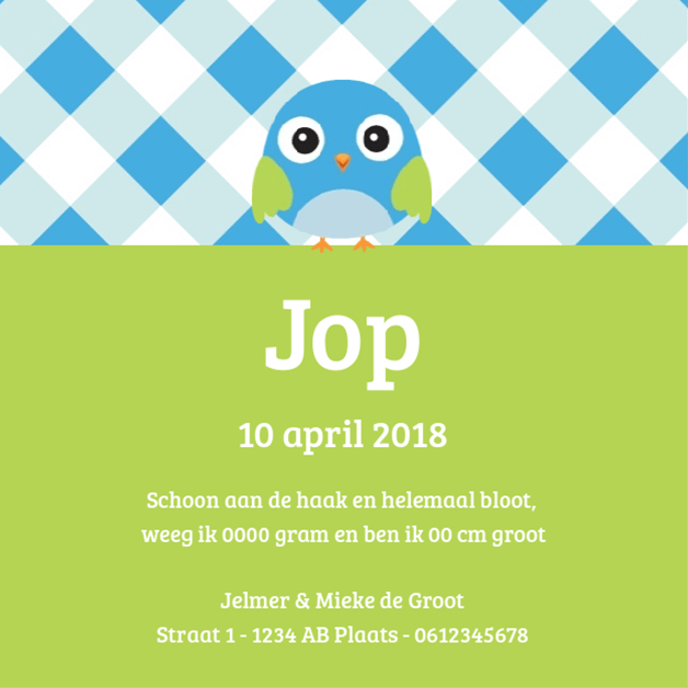 Kaartje "Foto & Blauw vogeltje op ruitjes" Kaartje "Foto & Blauw vogeltje op ruitjes"