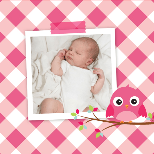 Kaartje "Foto & Roze ruitjes en vogeltje Kaartje "Foto & Roze ruitjes en vogeltje