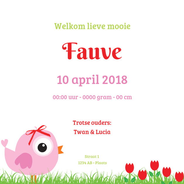 Kaartje "Foto & Roze vogeltje" Kaartje "Foto & Roze vogeltje"