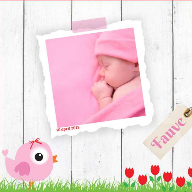 Kaartje "Foto & Roze vogeltje" Kaartje "Foto & Roze vogeltje"