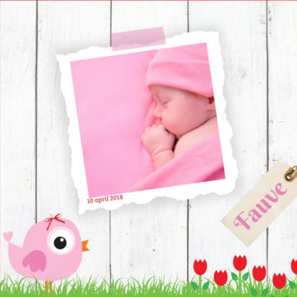 Kaartje "Foto & Roze vogeltje"