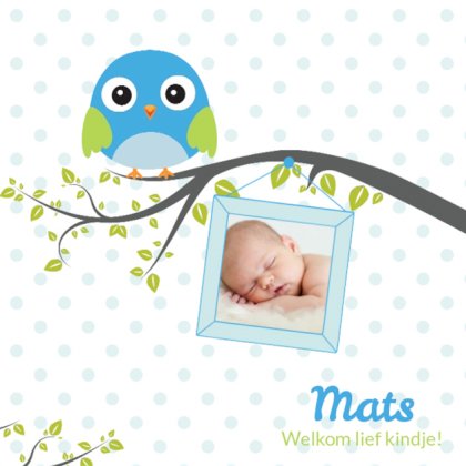 Kaartje "Foto & Blauw vogeltje"