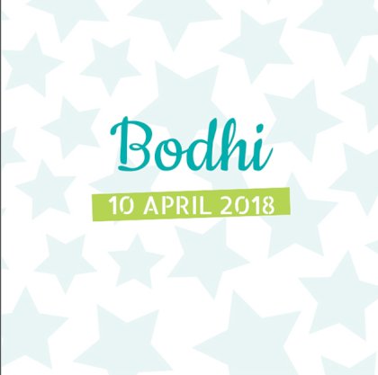 Gevouwen kaart "licht blauwe sterren"