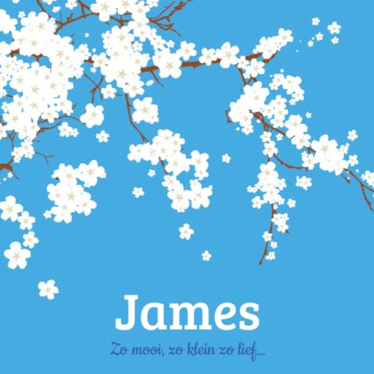 Kaartje "Bloesem & Blauw" Kaartje "Bloesem & Blauw"