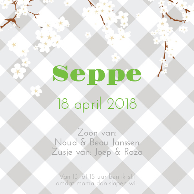 Kaartje "Blije baby & Bloesem" Kaartje "Blije baby & Bloesem"