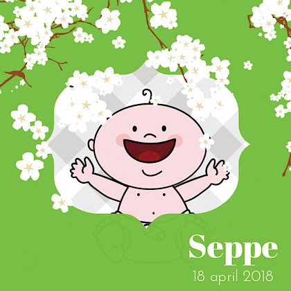 Kaartje "Blije baby & Bloesem"