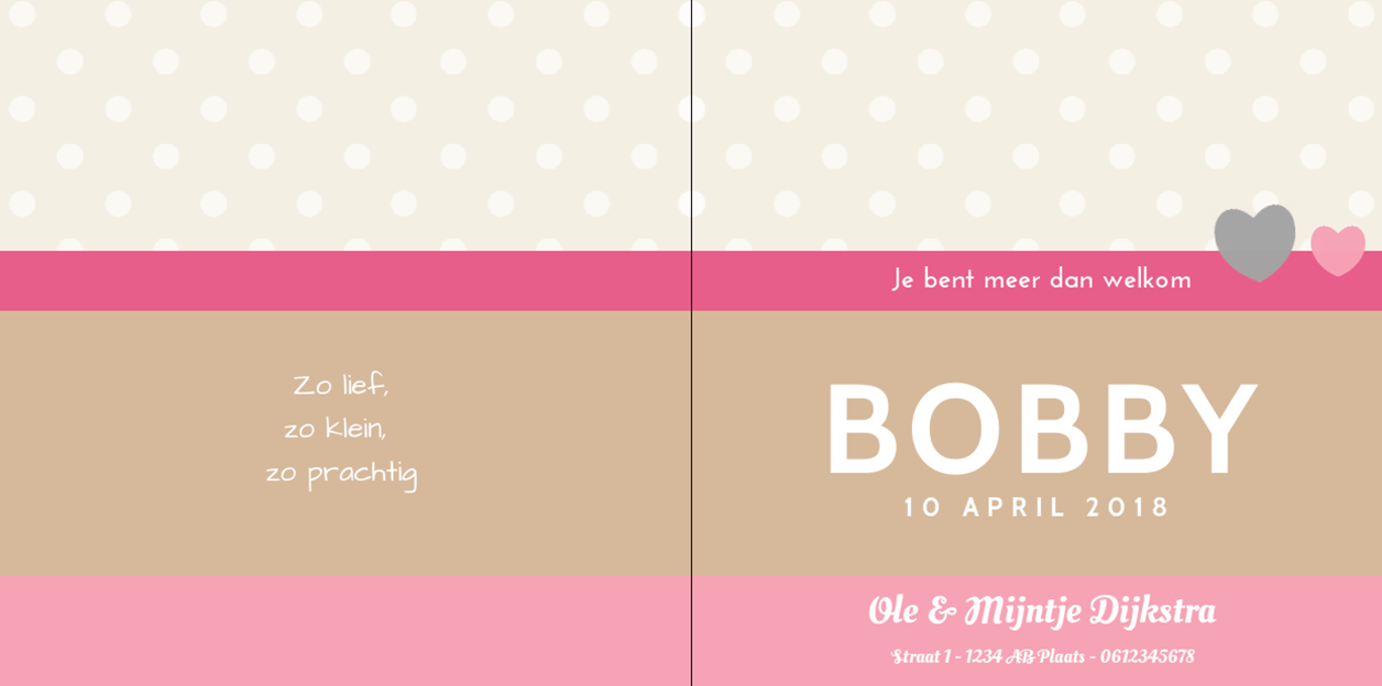 Gevouwen kaart "Hartjes & Stipjes" Gevouwen kaart "Hartjes & Stipjes"