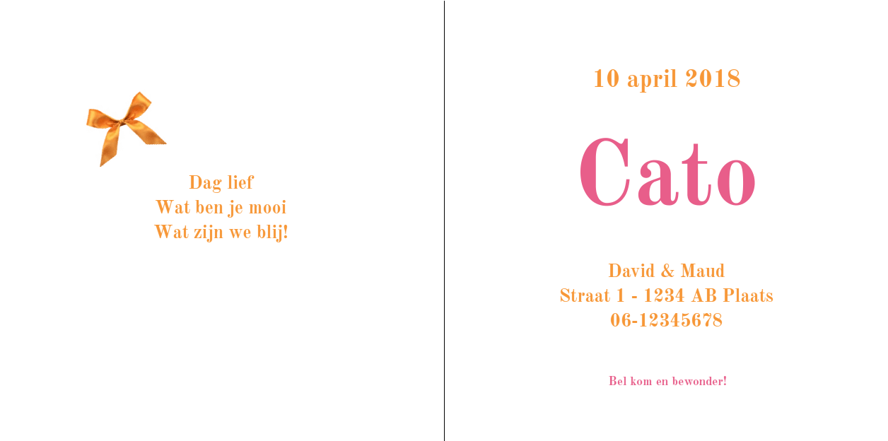 Gevouwen kaart "Oranje strikje & Gestreept" Gevouwen kaart "Oranje strikje & Gestreept"