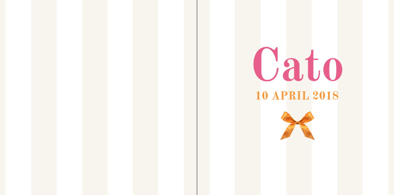 Gevouwen kaart "Oranje strikje & Gestreept" Gevouwen kaart "Oranje strikje & Gestreept"