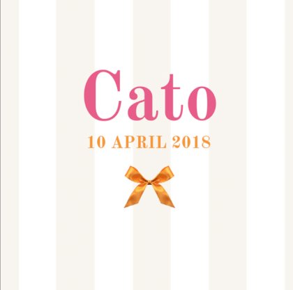 Gevouwen kaart "Oranje strikje & Gestreept" Gevouwen kaart "Oranje strikje & Gestreept"