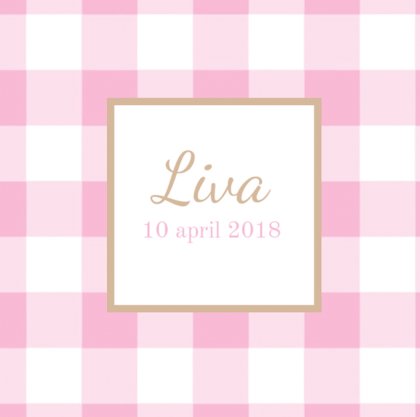 Gevouwen kaart "Roze ruitjes" Gevouwen kaart "Roze ruitjes"