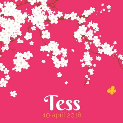 Gevouwen kaart "Witte bloesem" Gevouwen kaart "Witte bloesem"