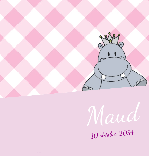 Gevouwen kaart "Prinsenkind & Nijlpaard staand" Gevouwen kaart "Prinsenkind & Nijlpaard staand"