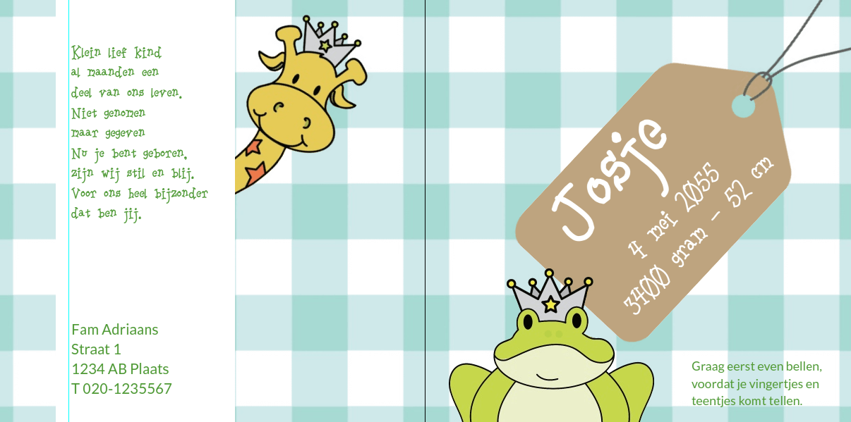 Gevouwen kaart "Prinsenkind & Kikker groen" Gevouwen kaart "Prinsenkind & Kikker groen"