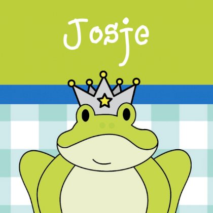 Gevouwen kaart "Prinsenkind & Kikker groen"