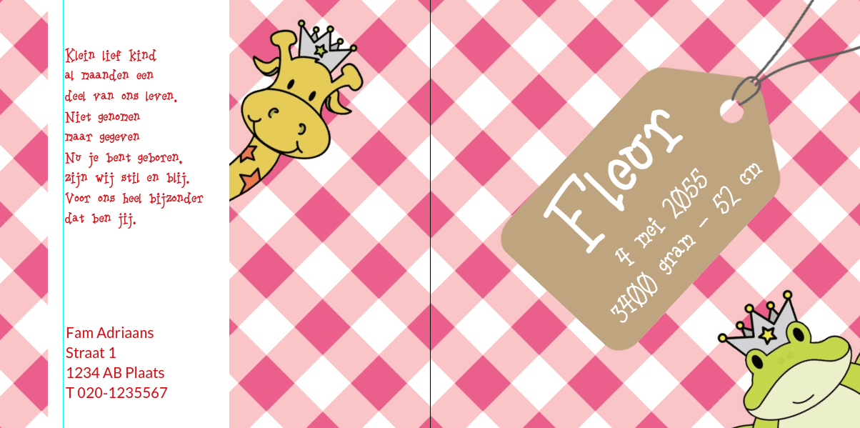 Gevouwen kaart "Prinsenkind & Kikker" Gevouwen kaart "Prinsenkind & Kikker"
