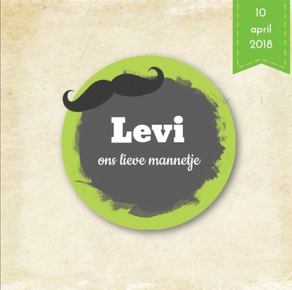 Gevouwen kaart "Groen met snorretje"