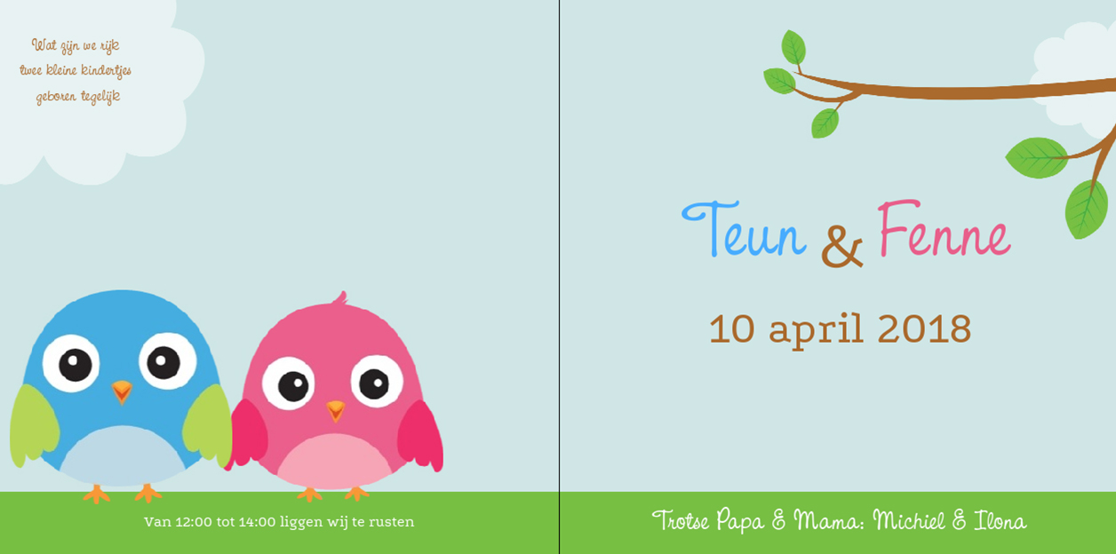 Kaart tweeling "vogeltjes blauw en roze" Kaart tweeling "vogeltjes blauw en roze"