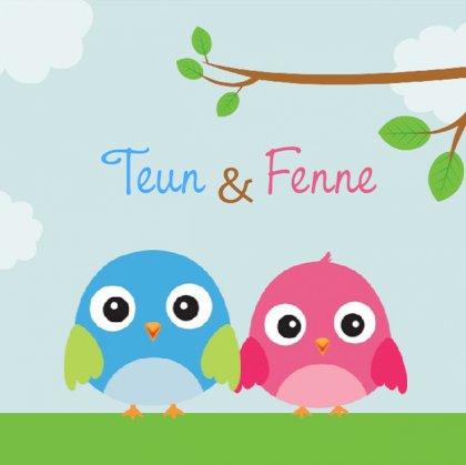 Kaart tweeling "vogeltjes blauw en roze"