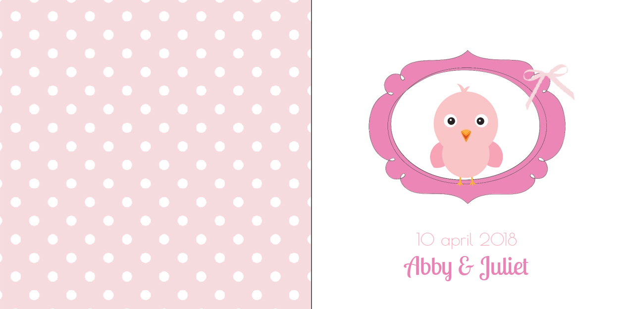 Kaart tweeling "Roze vogeltje in roze ring" Kaart tweeling "Roze vogeltje in roze ring"