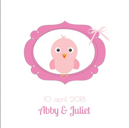 Kaart tweeling "Roze vogeltje in roze ring" Kaart tweeling "Roze vogeltje in roze ring"