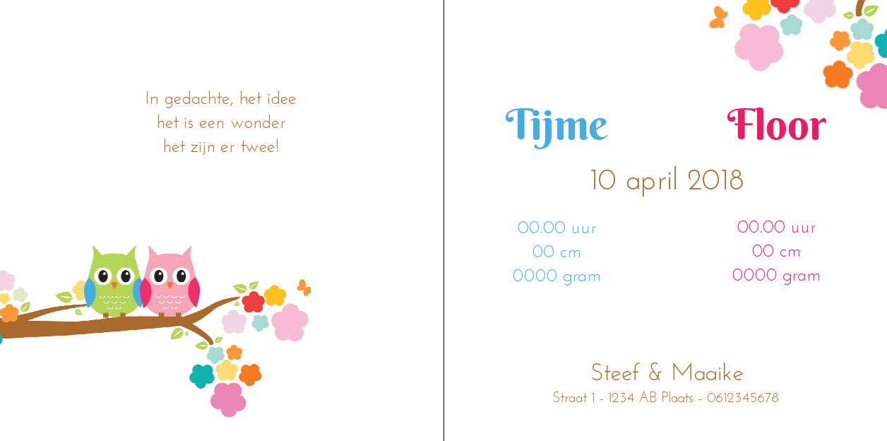Kaart tweeling "vogeltjes op een tak met bloemen" Kaart tweeling "vogeltjes op een tak met bloemen"