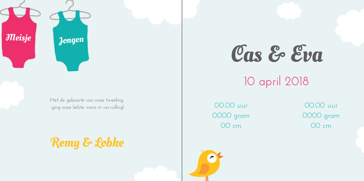 Kaartje tweeling "rompers aan de waslijn" Kaartje tweeling "rompers aan de waslijn"