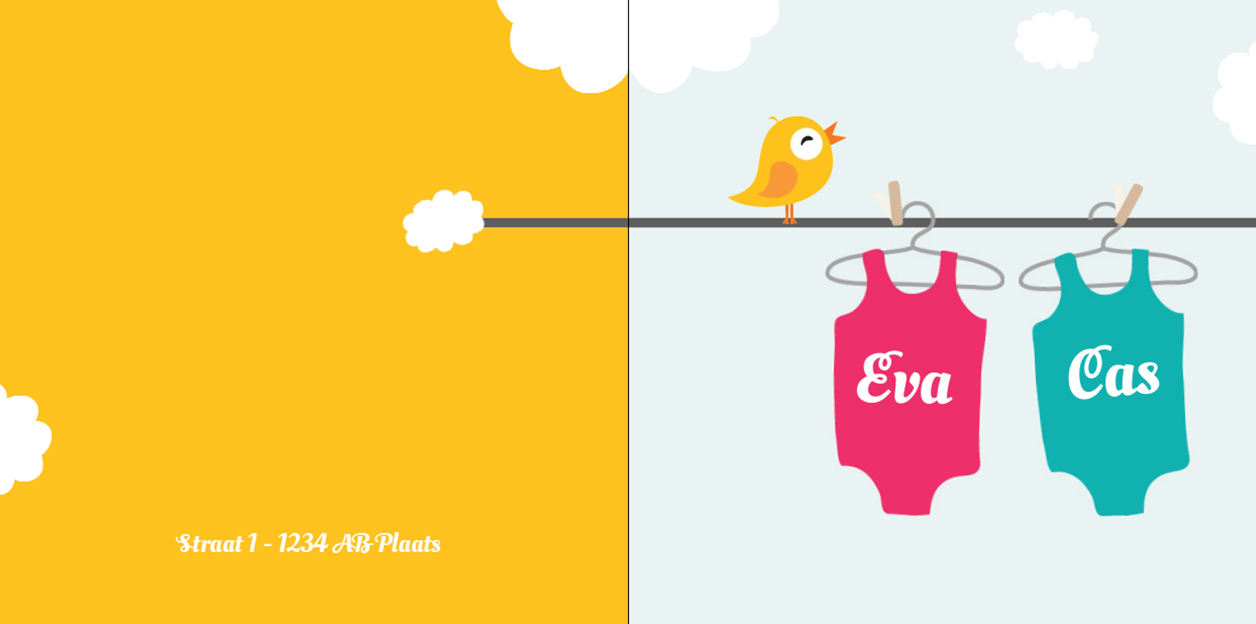 Kaartje tweeling "rompers aan de waslijn" Kaartje tweeling "rompers aan de waslijn"