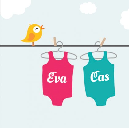 Kaartje tweeling "rompers aan de waslijn" Kaartje tweeling "rompers aan de waslijn"