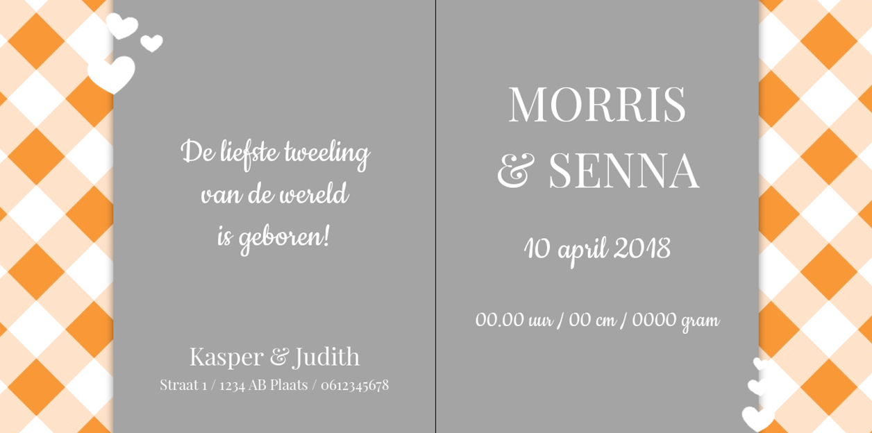 Kaartje tweeling "Liefste tweeling van de wereld" Kaartje tweeling "Liefste tweeling van de wereld"