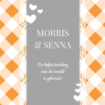 Kaartje tweeling "Liefste tweeling van de wereld"